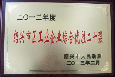 祝賀我公司被列為2012年度紹興市行業(yè)龍頭骨干企業(yè)100強。（市區(qū)工業(yè)企業(yè)綜合優(yōu)勝二十強）